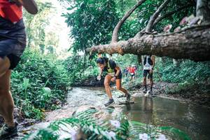 BIB: 
                            <button type="button" onclick="openModal(25439082)" class="btn btn-primary btn-sm float-right btn-popup" data-toggle="modal" data-target=".modal-high-quality">
                        <i class="fas fa-shopping-cart"></i> Add to Cart
                    </button>
                                            <button type="button" onclick="isThisMe(25439082, true)" class="btn btn-success btn-sm float-right btn-popup btn-isme hidden" data-toggle="tooltip" data-placement="bottom" title="นี่คือรูปของคุณใช่ไหม คลิกที่นี่เพื่อเอาเข้าอัลบั้ม">
                        <i class="fas fa-plus"></i> Add to album
                    </button>
                    <button type="button" onclick="isThisMe(25439082, false)" class="btn btn-warning btn-sm float-right btn-popup btn-isnotme hidden">
                        <i class="fas fa-ban"></i> Remove from album
                    </button>